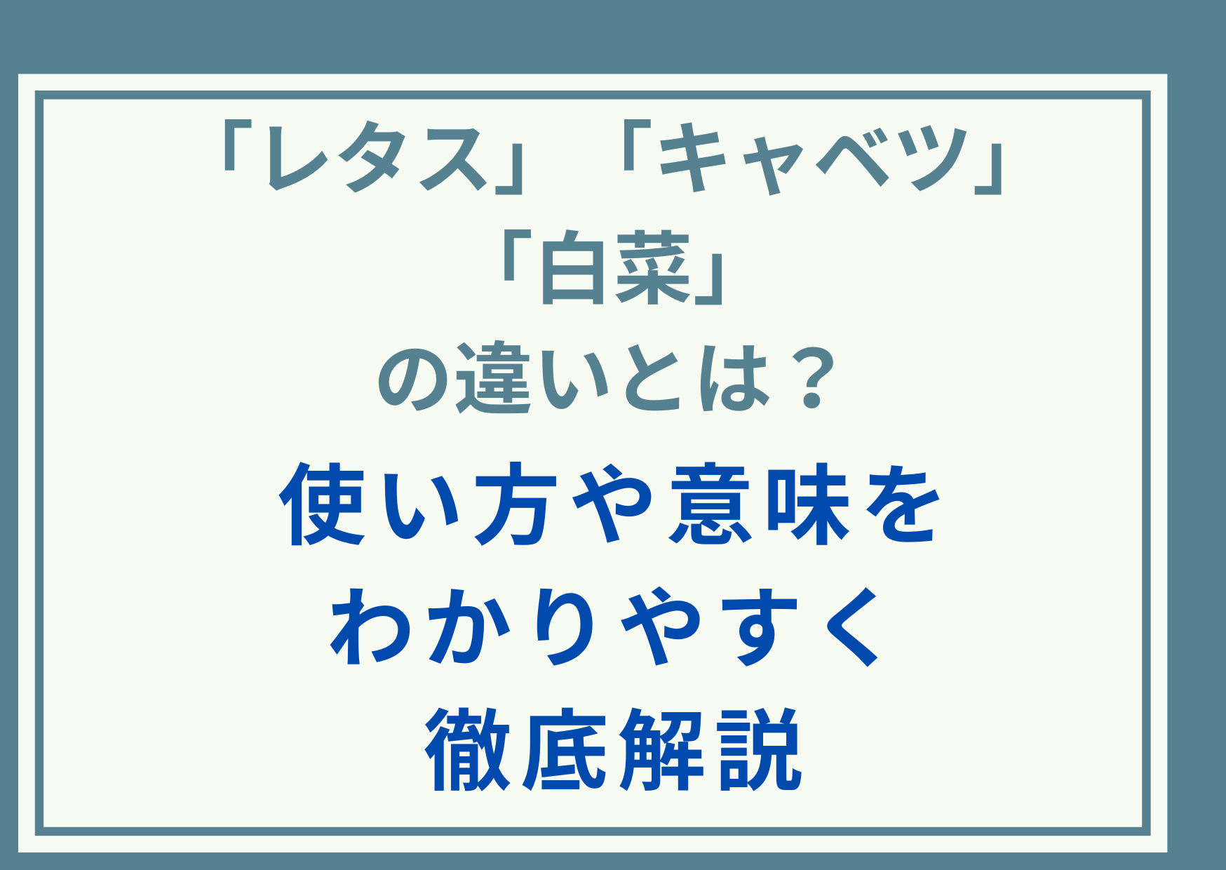 「レタス」「キャベツ」「白菜」の違いとは？使い方や意味をわかりやすく徹底解説
